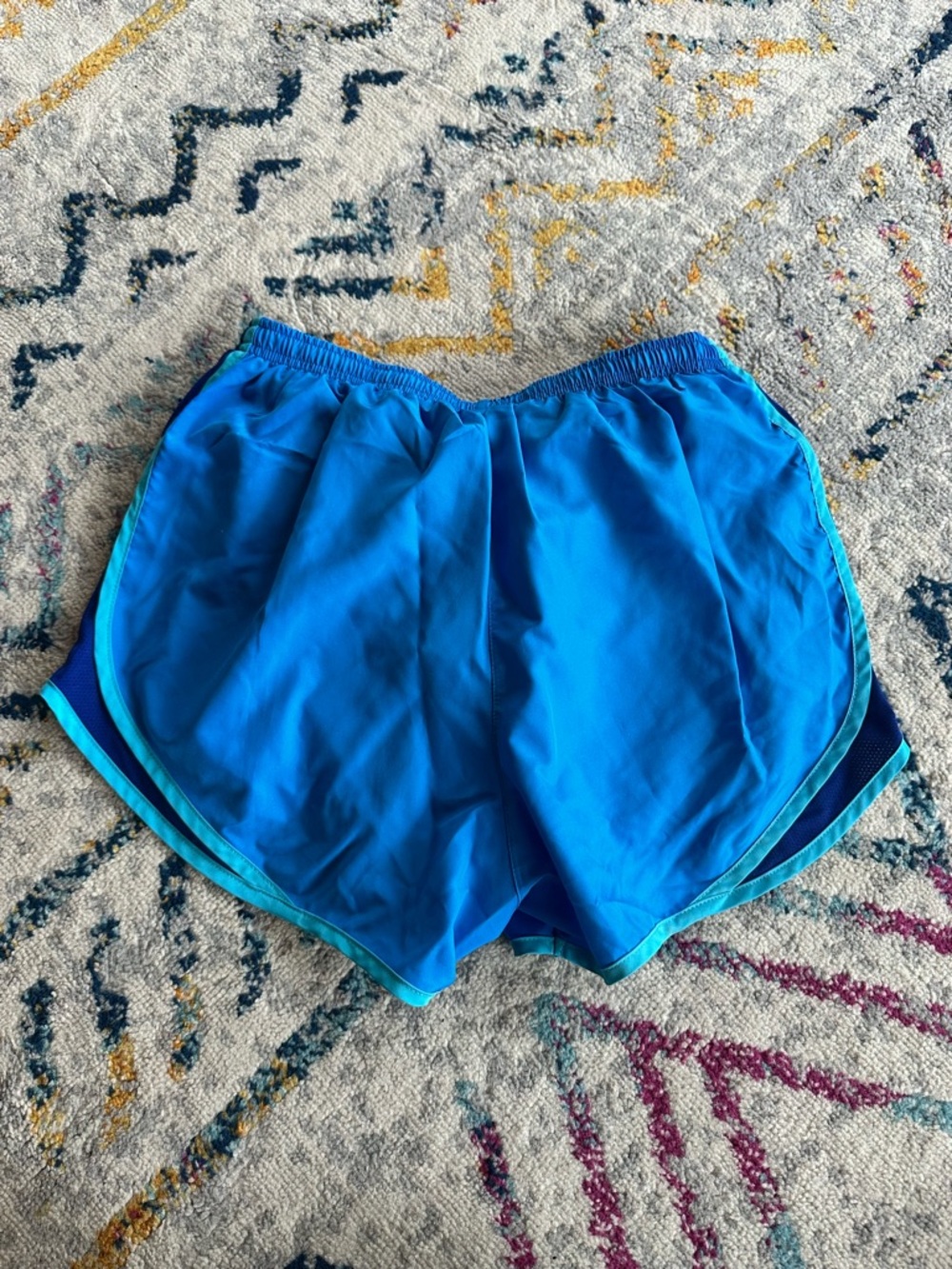 Nike Royal Blue and Teal Dri-FIT Athletic Shorts - Picture 3 of 3